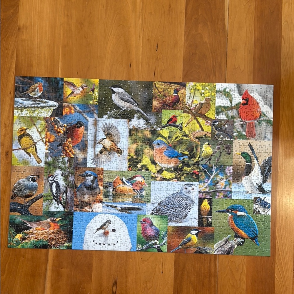 Birds in the Wild 1000 piece puzzle